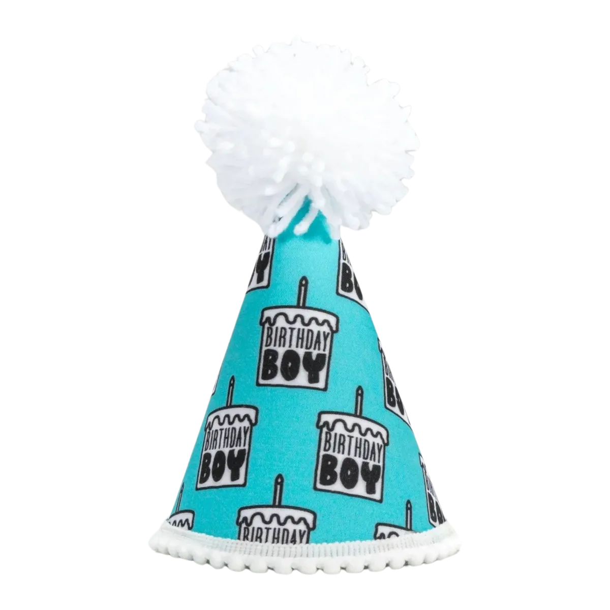 Birthday Boy Black Ink Party Hat