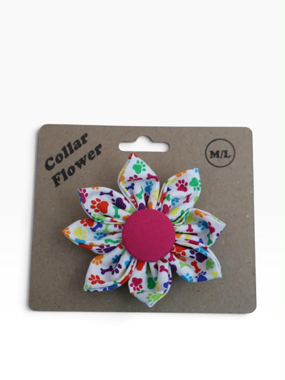 Rainbow Paws Collar Flower