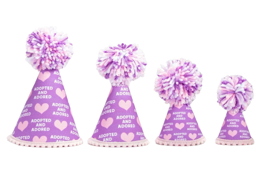 Adopted Purple Party Hat