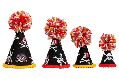 Arf Matey Party Hat