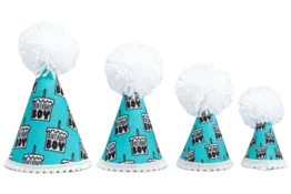 Birthday Boy Black Ink Party Hat