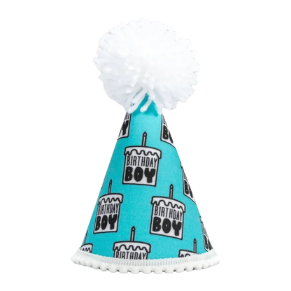 Birthday Boy Black Ink Party Hat