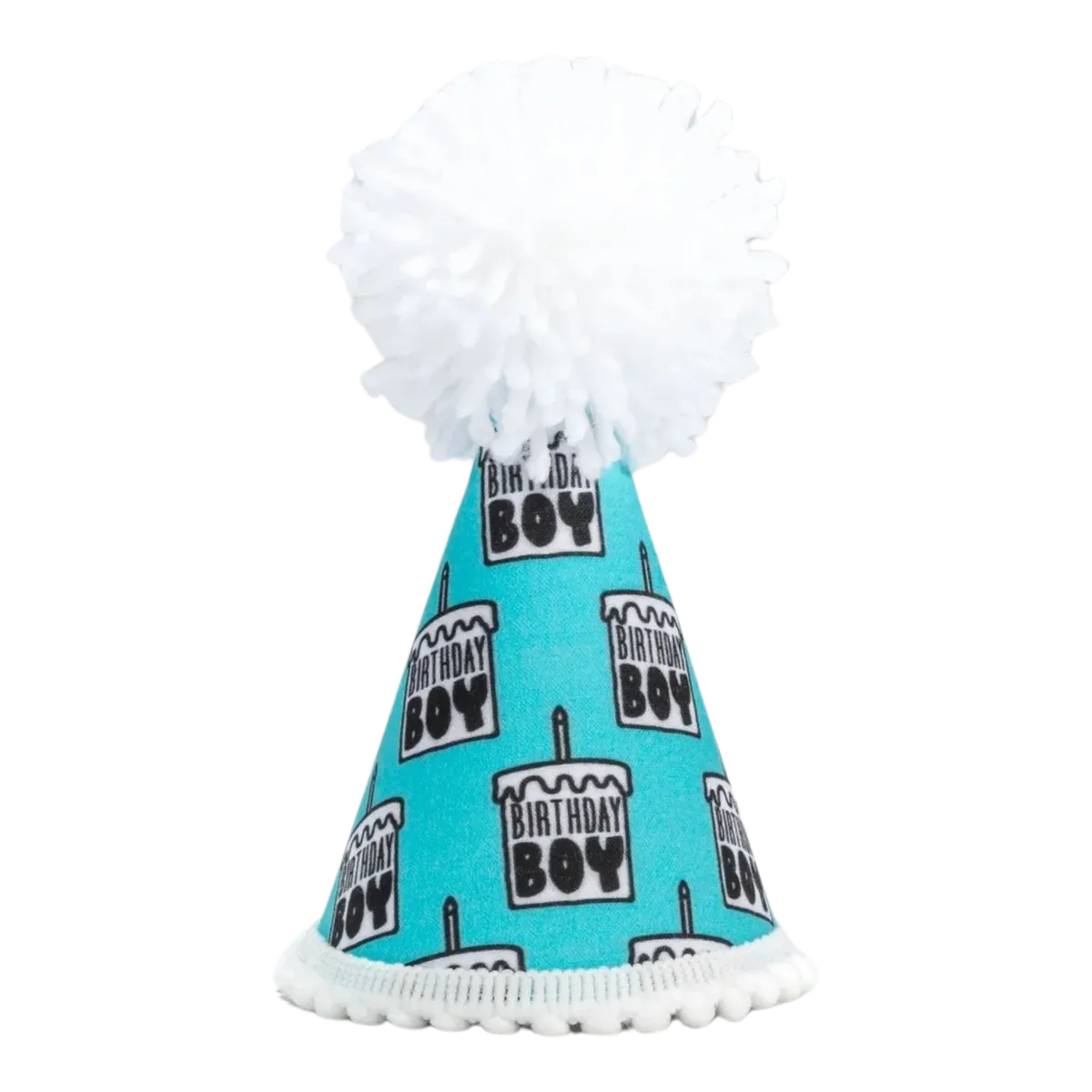 Birthday Boy Black Ink Party Hat