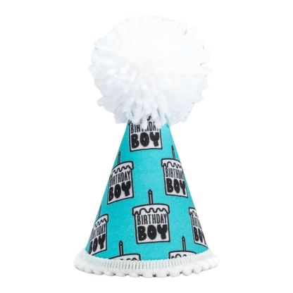 Birthday Boy Black Ink Party Hat