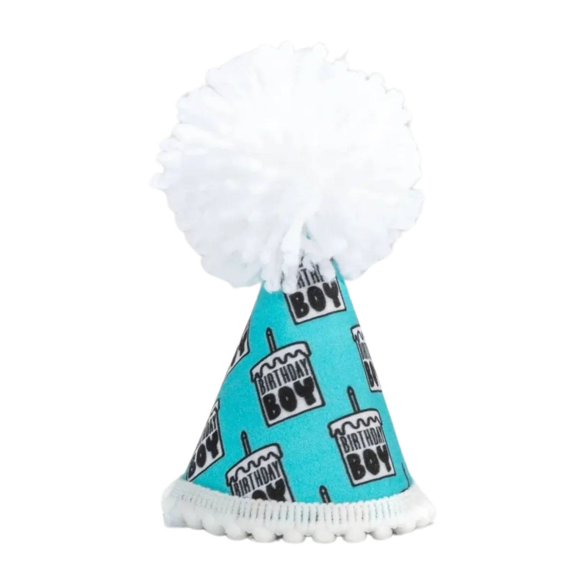Birthday Boy Black Ink Party Hat
