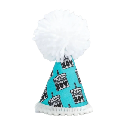 Birthday Boy Black Ink Party Hat