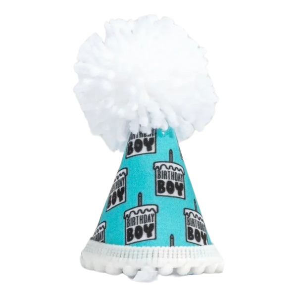 Birthday Boy Black Ink Party Hat