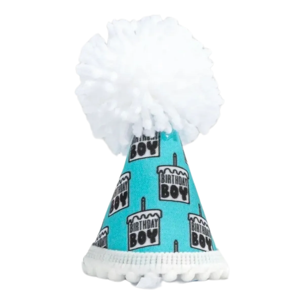 Birthday Boy Black Ink Party Hat
