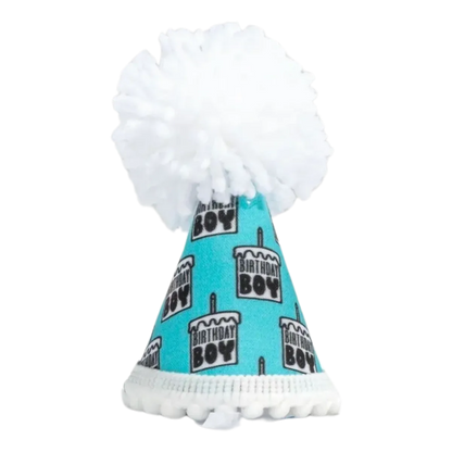 Birthday Boy Black Ink Party Hat