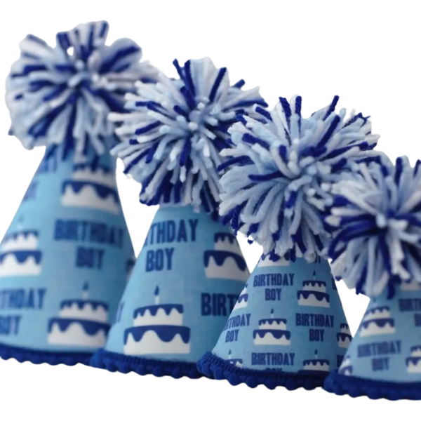 Birthday Boy Blue Ink Party Hat