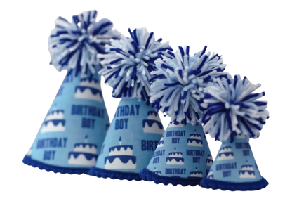 Birthday Boy Blue Ink Party Hat
