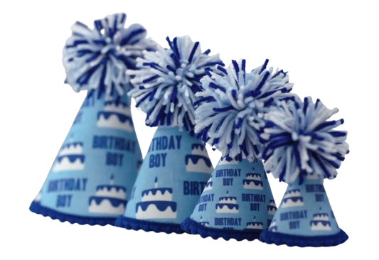 Birthday Boy Blue Ink Party Hat