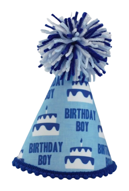 Birthday Boy Blue Ink Party Hat