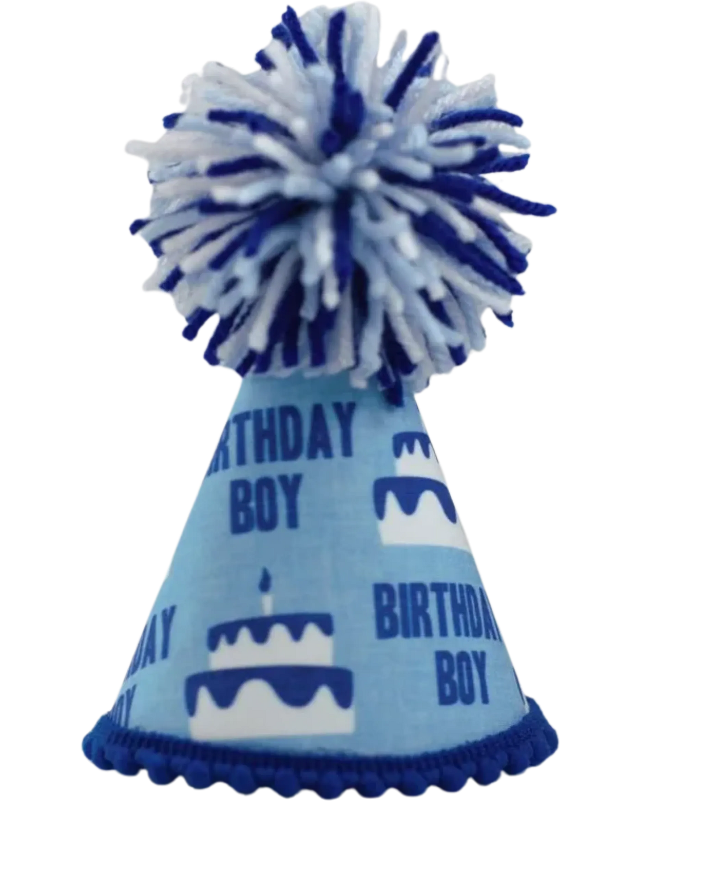 Birthday Boy Blue Ink Party Hat