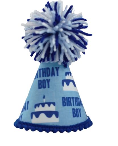 Birthday Boy Blue Ink Party Hat