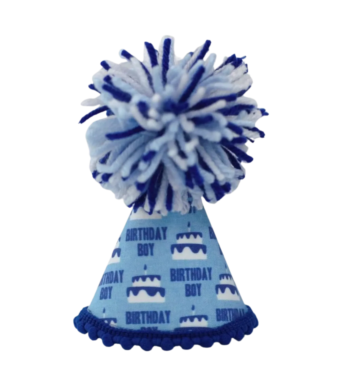 Birthday Boy Blue Ink Party Hat