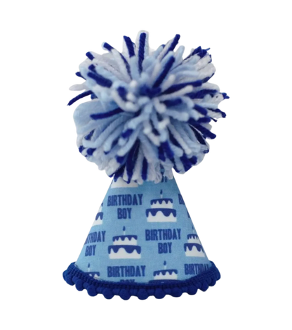 Birthday Boy Blue Ink Party Hat