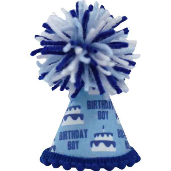 Birthday Boy Blue Ink Party Hat