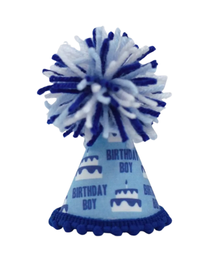 Birthday Boy Blue Ink Party Hat