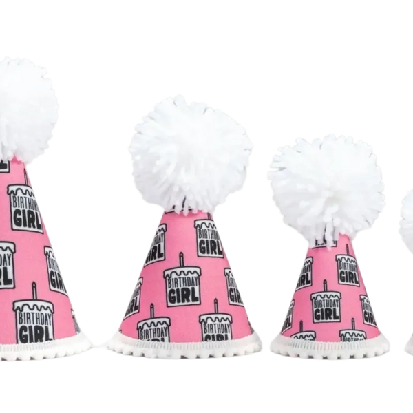 Birthday Girl Black Ink Party Hat