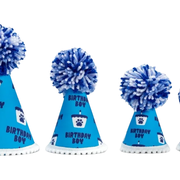 Barkday Boy Party Hat