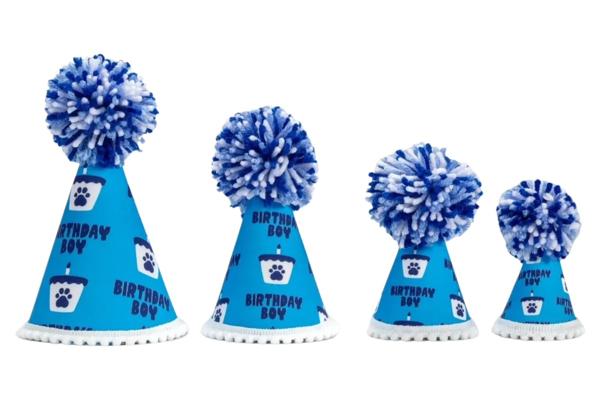 Barkday Boy Party Hat