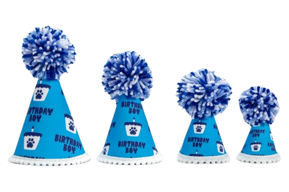 Barkday Boy Party Hat