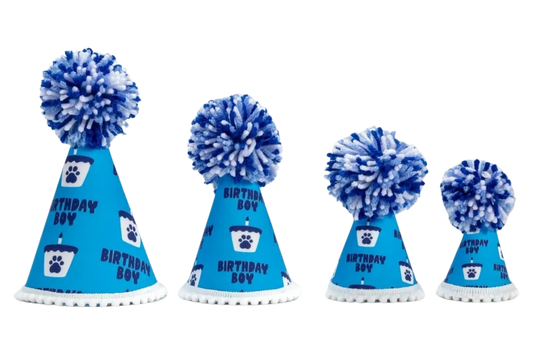 Barkday Boy Party Hat