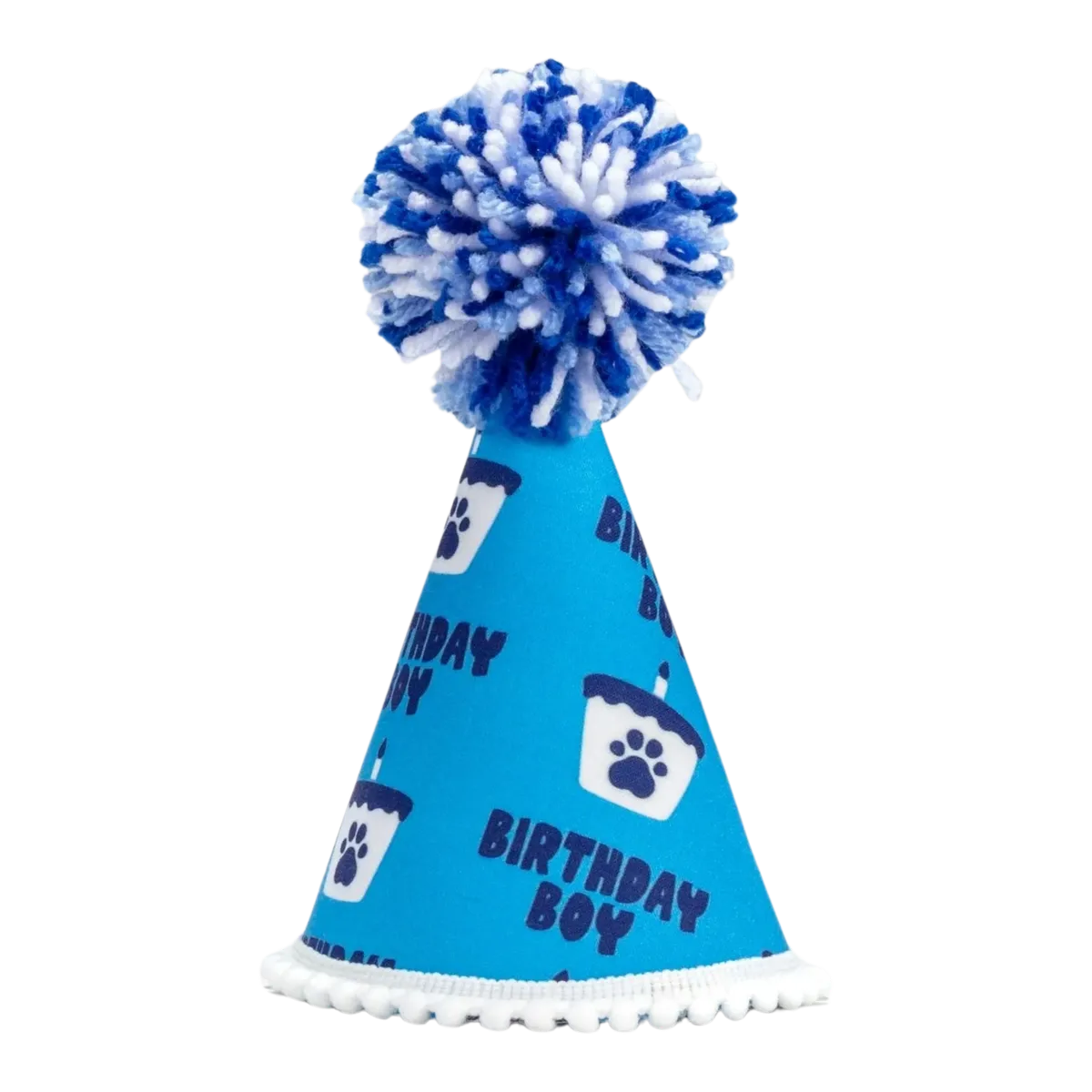 Barkday Boy Party Hat