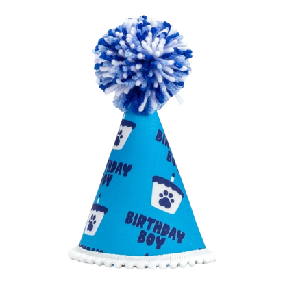 Barkday Boy Party Hat