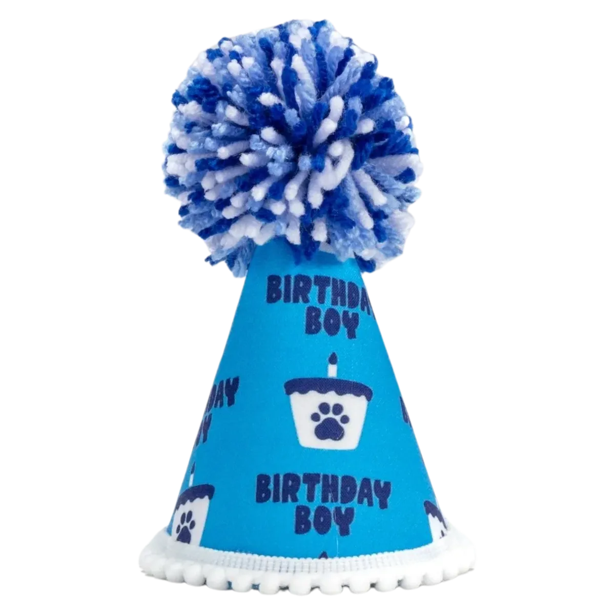 Barkday Boy Party Hat