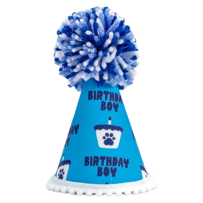 Barkday Boy Party Hat