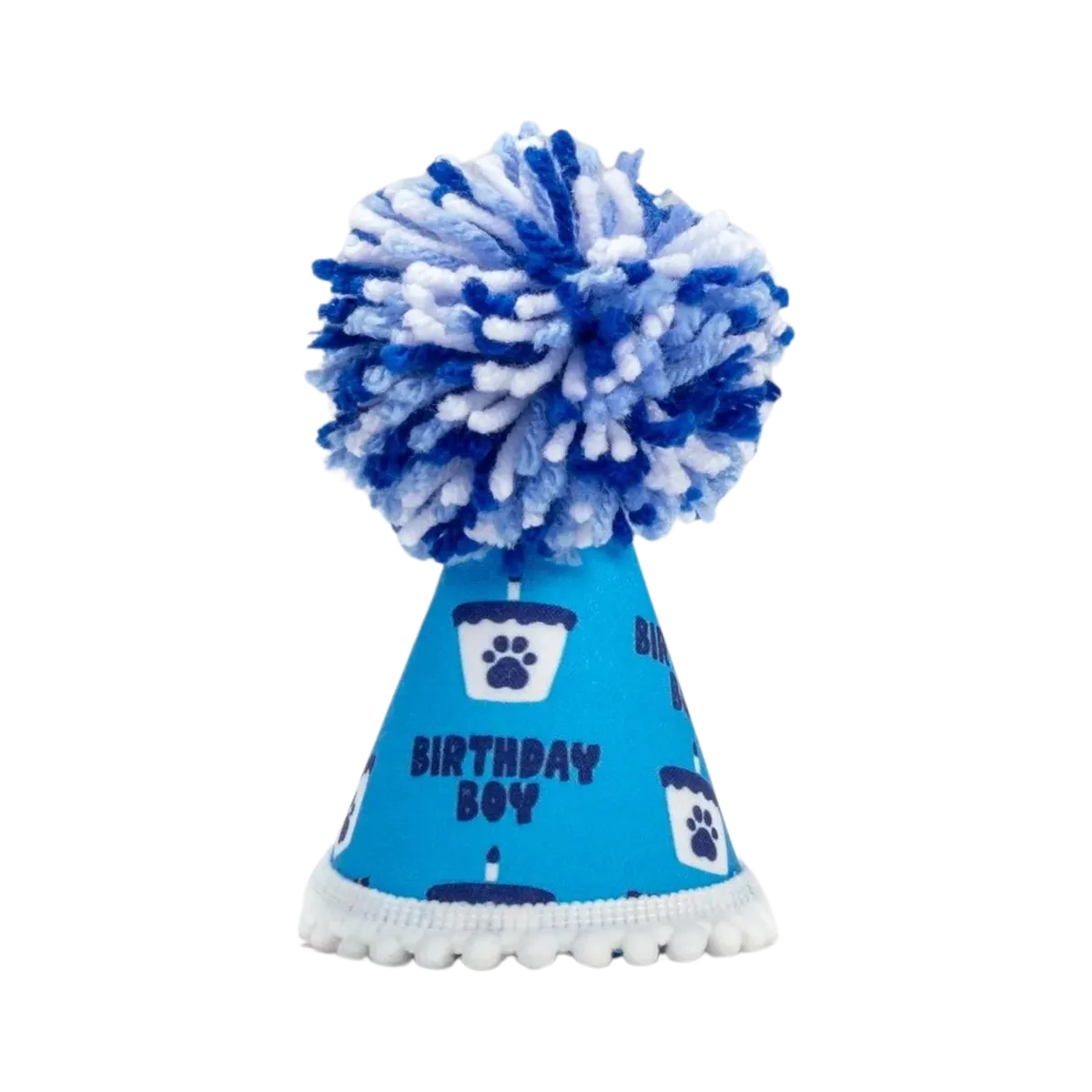 Barkday Boy Party Hat