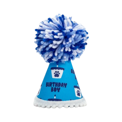 Barkday Boy Party Hat
