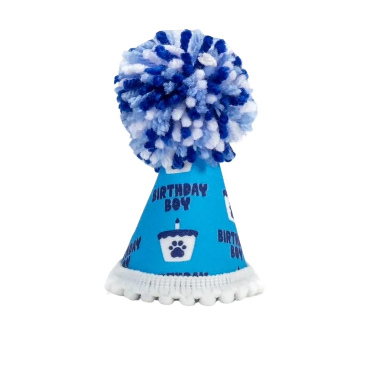 Barkday Boy Party Hat