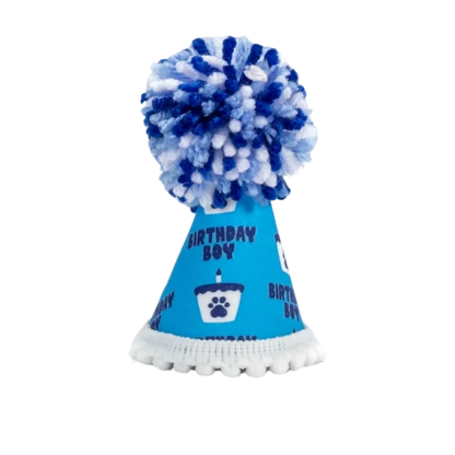 Barkday Boy Party Hat