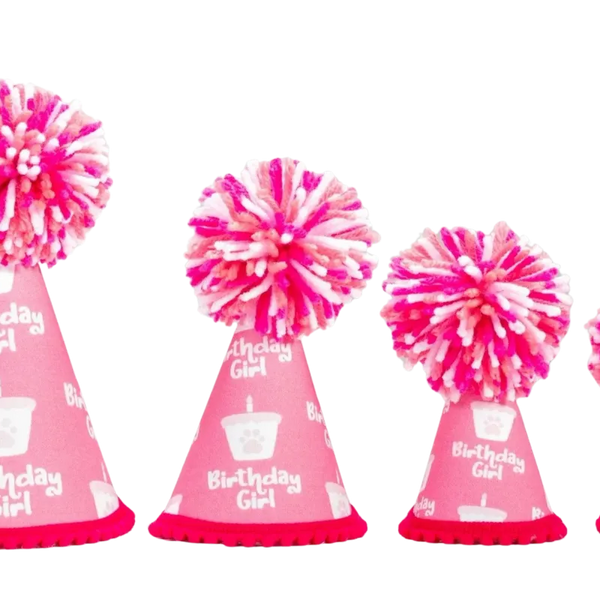 Barkday Girl Party Hat