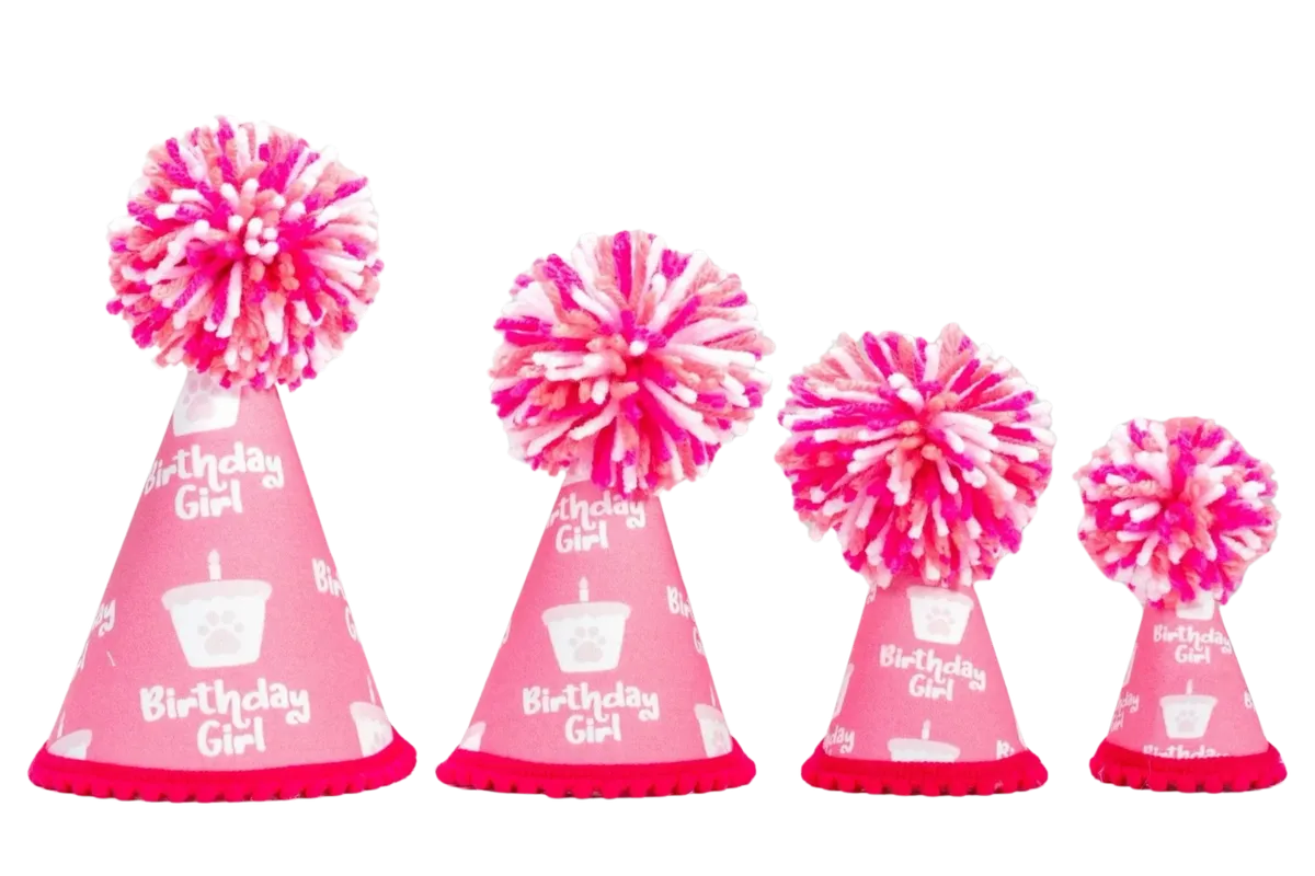 Barkday Girl Party Hat