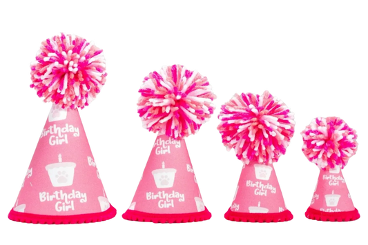Barkday Girl Party Hat