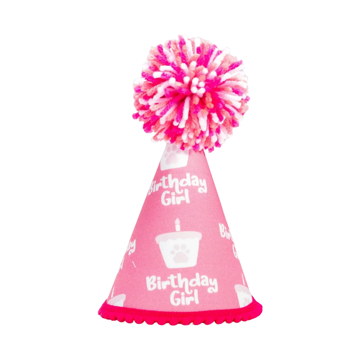 Barkday Girl Party Hat