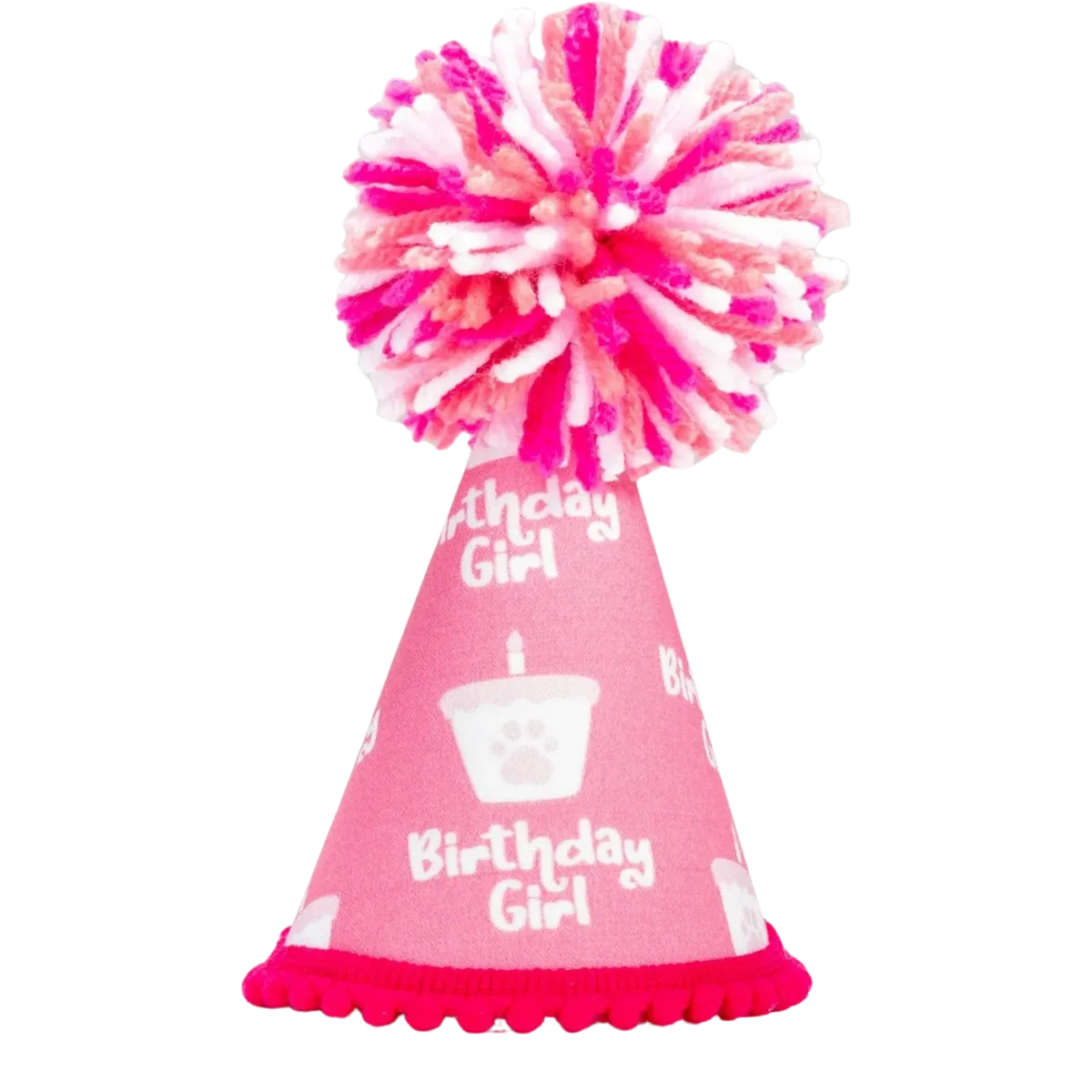 Barkday Girl Party Hat
