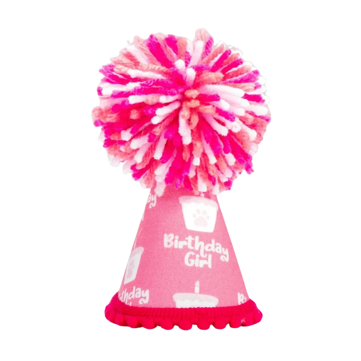 Barkday Girl Party Hat