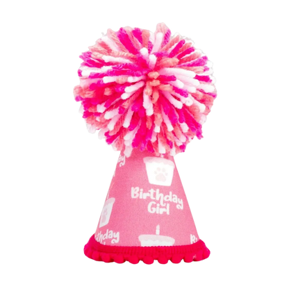 Barkday Girl Party Hat