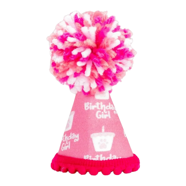 Barkday Girl Party Hat