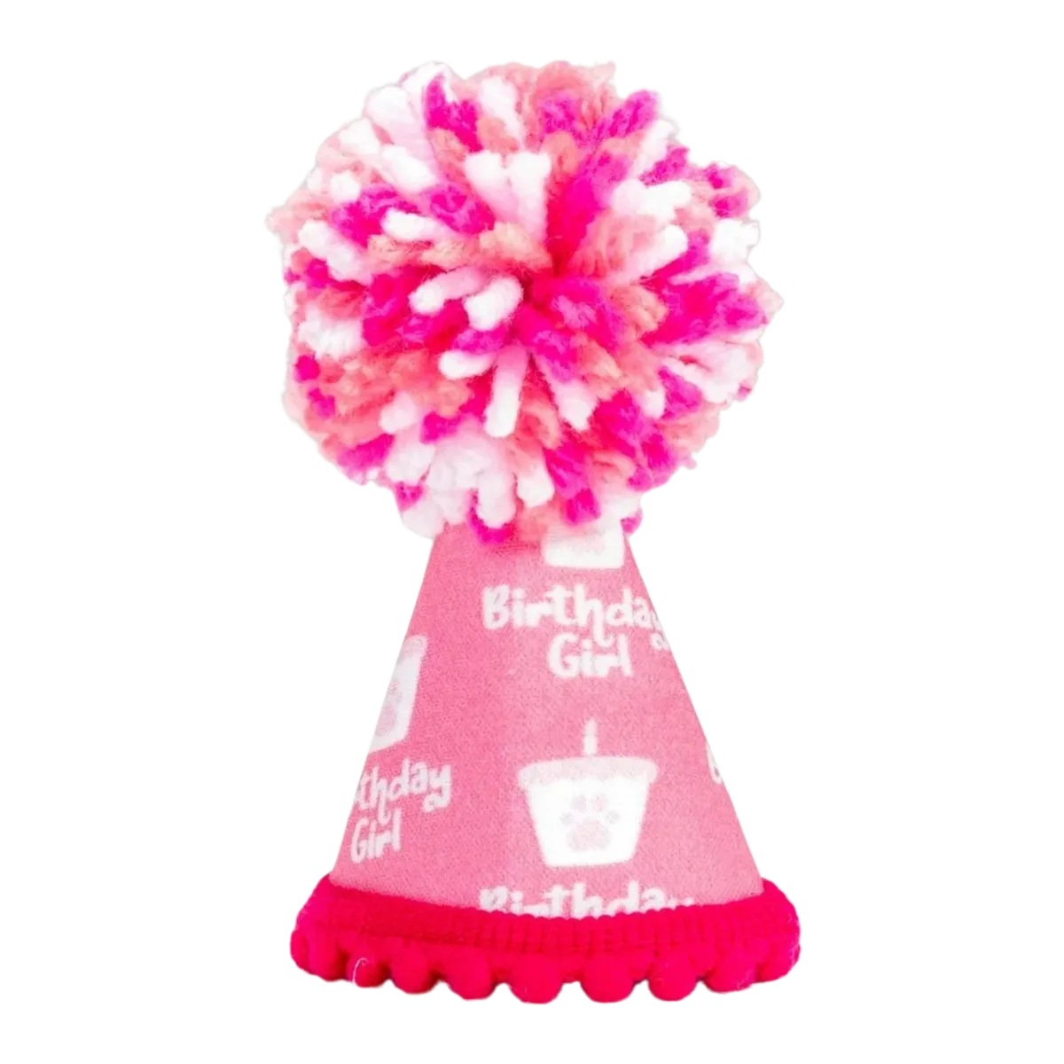 Barkday Girl Party Hat