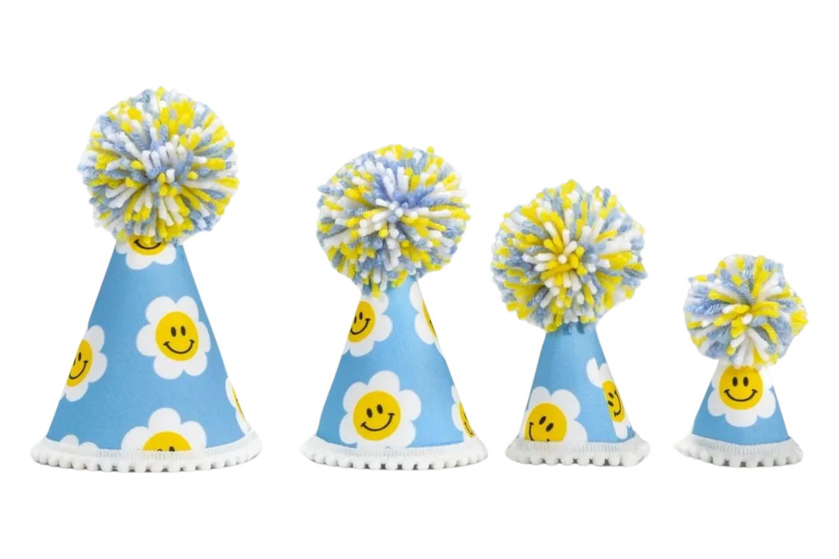 Blue Daisy Party Hat