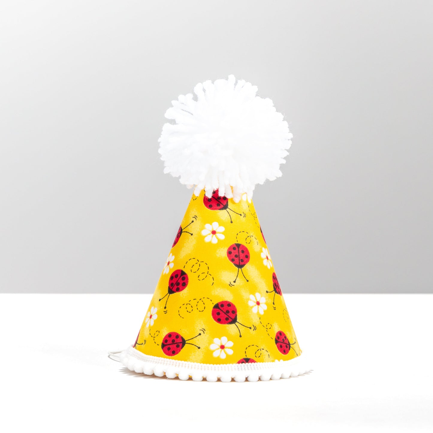 Lucky Ladybug Party Hat
