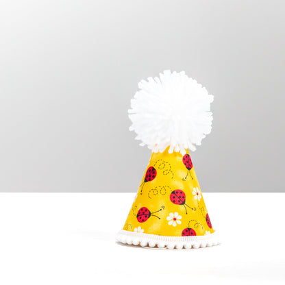 Lucky Ladybug Party Hat