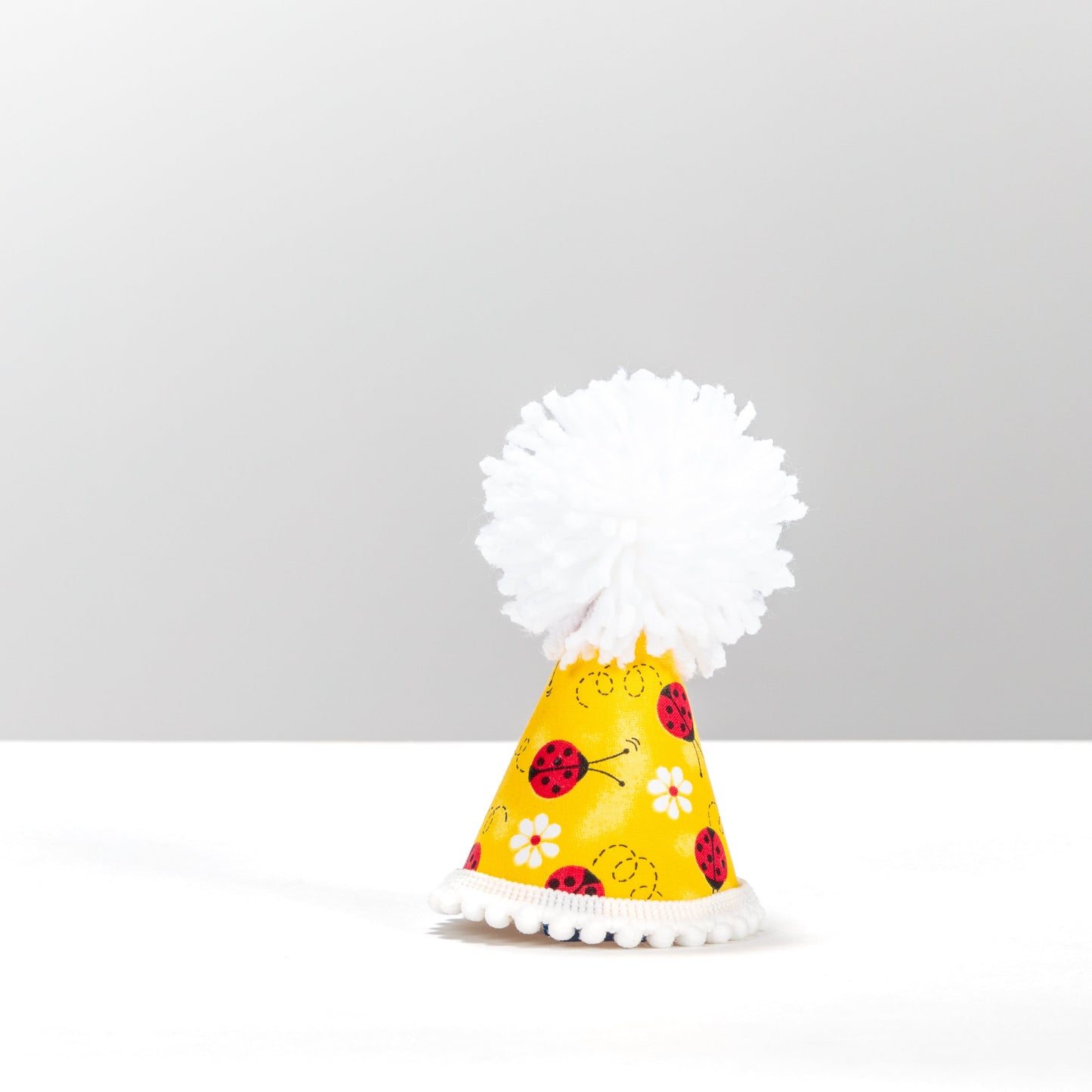 Lucky Ladybug Party Hat