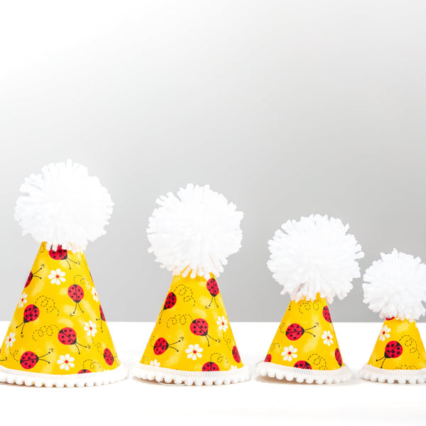 Lucky Ladybug Party Hat